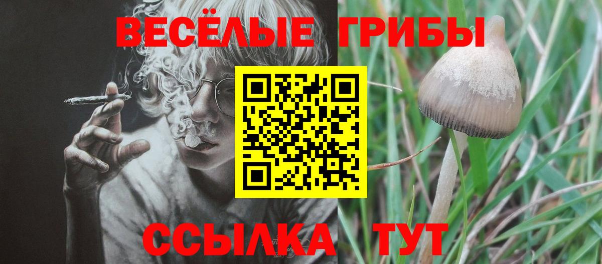 Галлюциногенные грибы мицелий  Вход с VPN  Новосибирск 