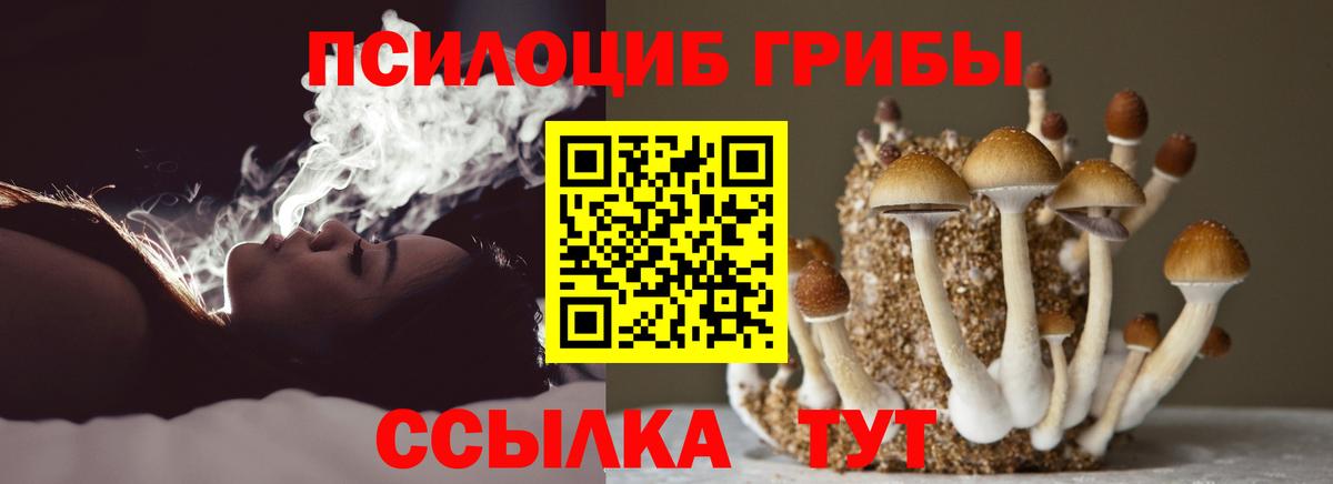 Псилоцибиновые грибы мухоморы Новосибирск